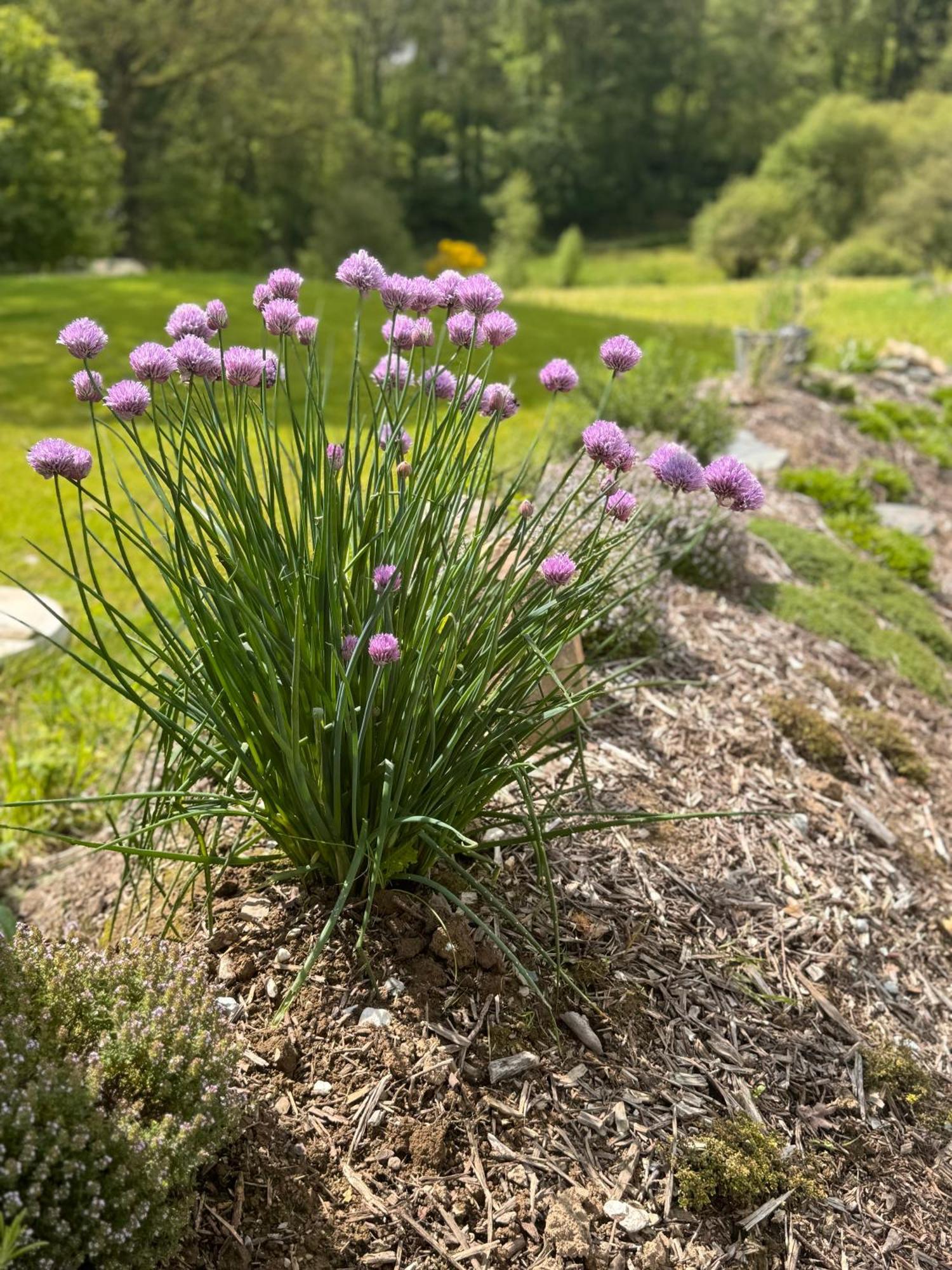 L Antre De Kergoff Villa Caurel  Eksteriør bilde